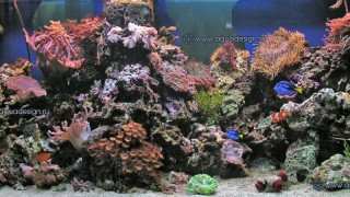 Морской аквариум купить в Москве