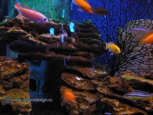 Морской аквариум купить в Москве