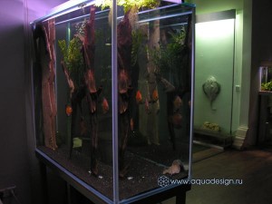 Морской аквариум купить в Москве