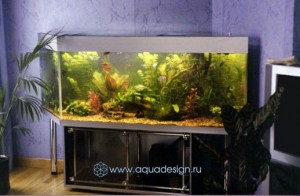 Морской аквариум купить в Москве