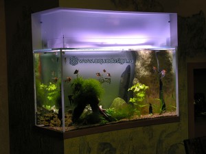 Морской аквариум купить в Москве
