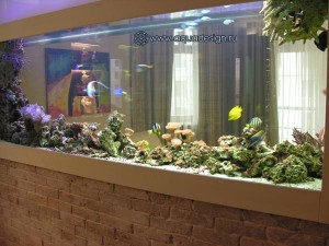 Морской аквариум купить в Москве