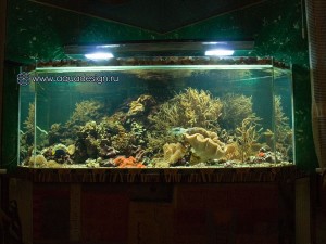Морской аквариум купить в Москве