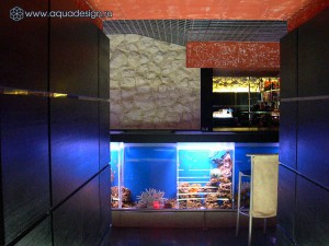 Морской аквариум купить в Москве