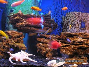 Морской аквариум купить в Москве
