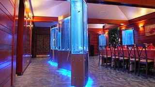 Аквариумы-ширмы и аквариумы-перегородки