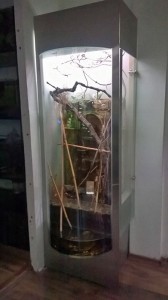 Акватеррариум «Бахчисарайский фонтан»